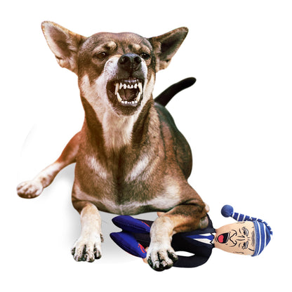 Sleepy Joe Biden Chew Toy