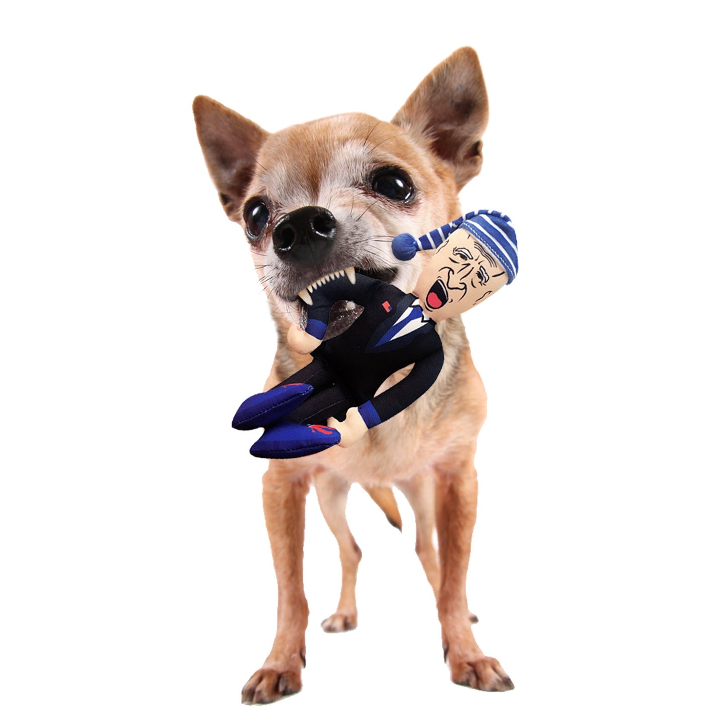 Sleepy Joe Biden Chew Toy
